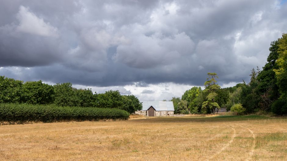 A rural landscape featuring a large, open grassy field with a yellow-brown hue, indicating dry or cut grass, extending towards the horizon. To the left and behind the field, there is a dense line of g